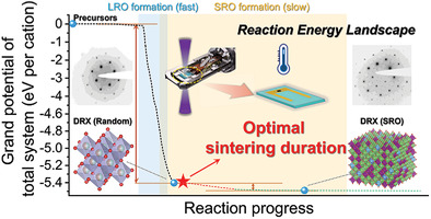 Thermodynamically driven synthetic